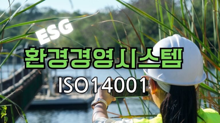 ISO 14001, 환경경영시스템